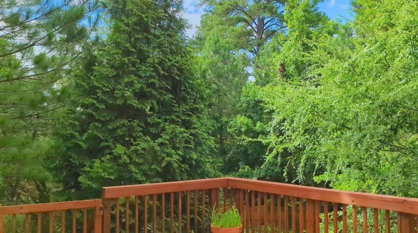 1008 Longwillow Court